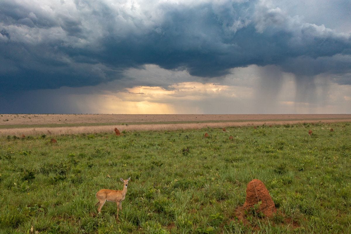 Com menos chuva e avanço da soja, rios do Cerrado perdem 27% das águas -  Brasil de Fato