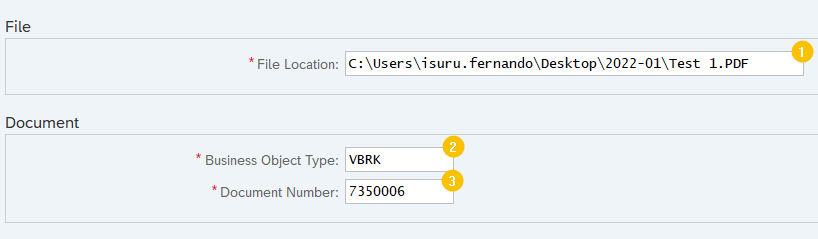 selection screen of the ABAP program designed to attach a file uploaded from PC to SAP business document. 