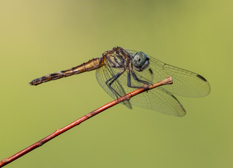 20250818-ElRio-149-Edit 2.jpg 20250818-ElRio-149-Edit 2.jpg