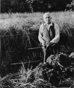The Saint of the City Goes Rural: Dorothy Day and the Life of the Land -  Front Porch Republic