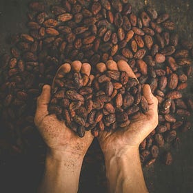 Deep dive into cacao, the heart opener