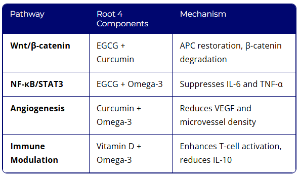 Preventing Cancer: The ROOT Protocols - Reasonable Faith Honolulu