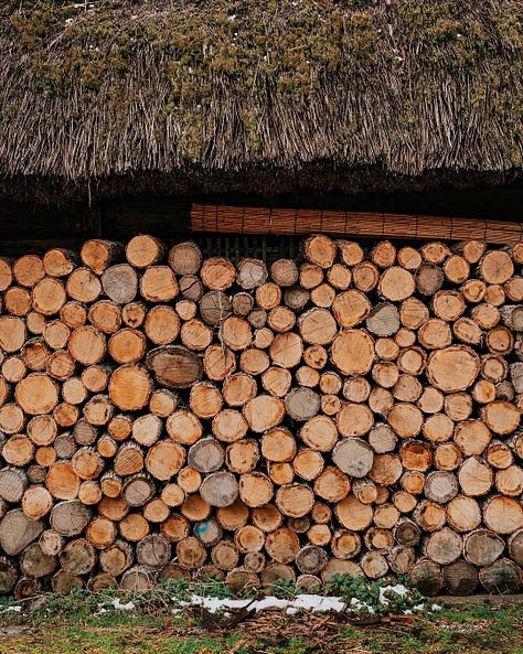 Photos from our trip to Shirakawa Village