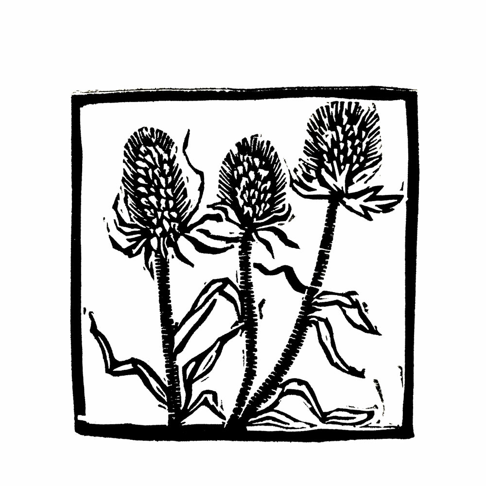 Field Notes by Orein Arts