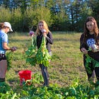 Summer Season Starts at COA Beech Hill Farm 