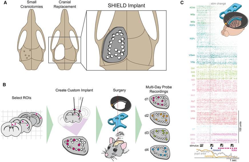 A diagram of a human body

AI-generated content may be incorrect.