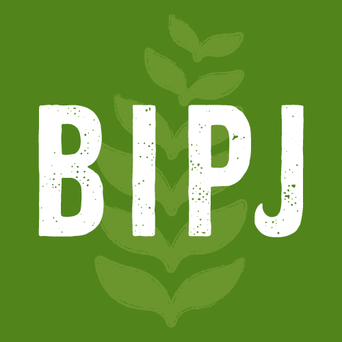 Bethlehem Institute for Peace & Justice