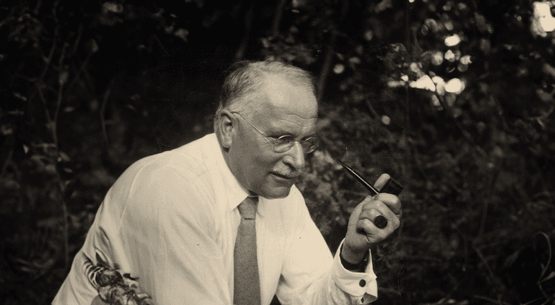 Die Tiefen der Träume mit Carl Gustav Jung erkunden Die Tiefen der Träume mit Carl Gustav Jung erkunden