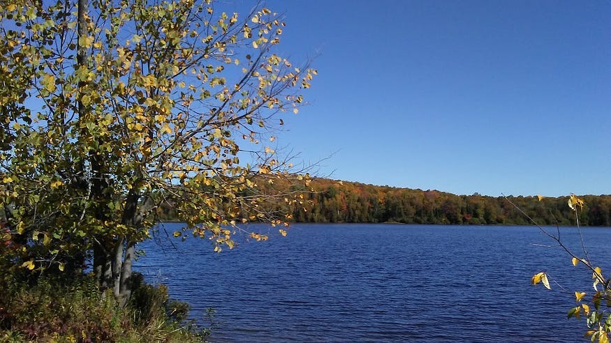 Fall colours, a lake, a treed distant shore, and a clear blue sky.