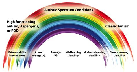 Autism Spectrum Levels