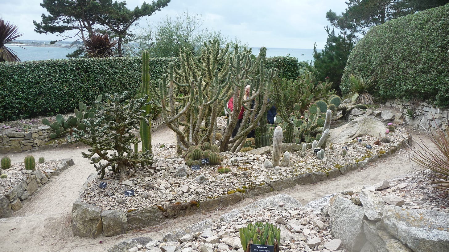 Fichier:Île de Batz 060 Jardin Georges Delaselle.JPG — Wikipédia