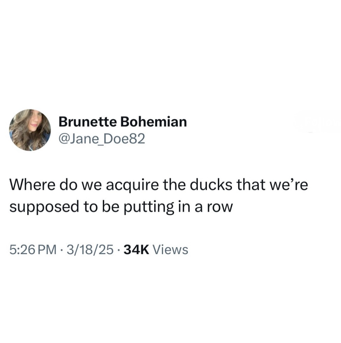 Image shows: retweet from Brunette Bohemian, which says: Where do we acquire the ducks that we're supposed to be putting in a row. 