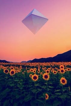 Contém uma imagem de: 