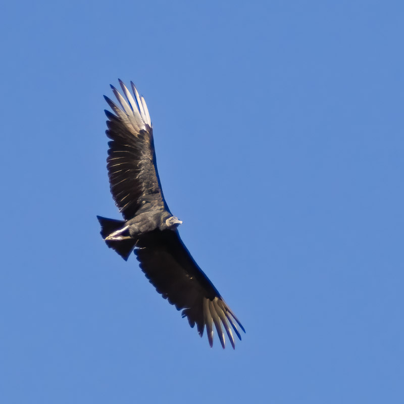20250930-Manville-259-Edit.jpg