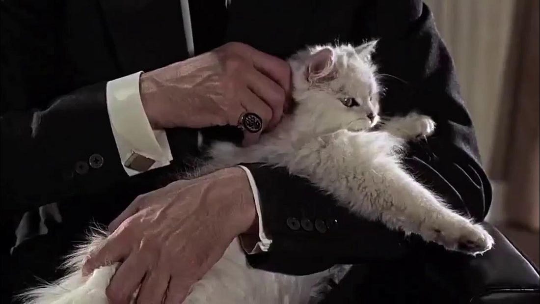 All James Bond Cat Close Ups in Chronological Order