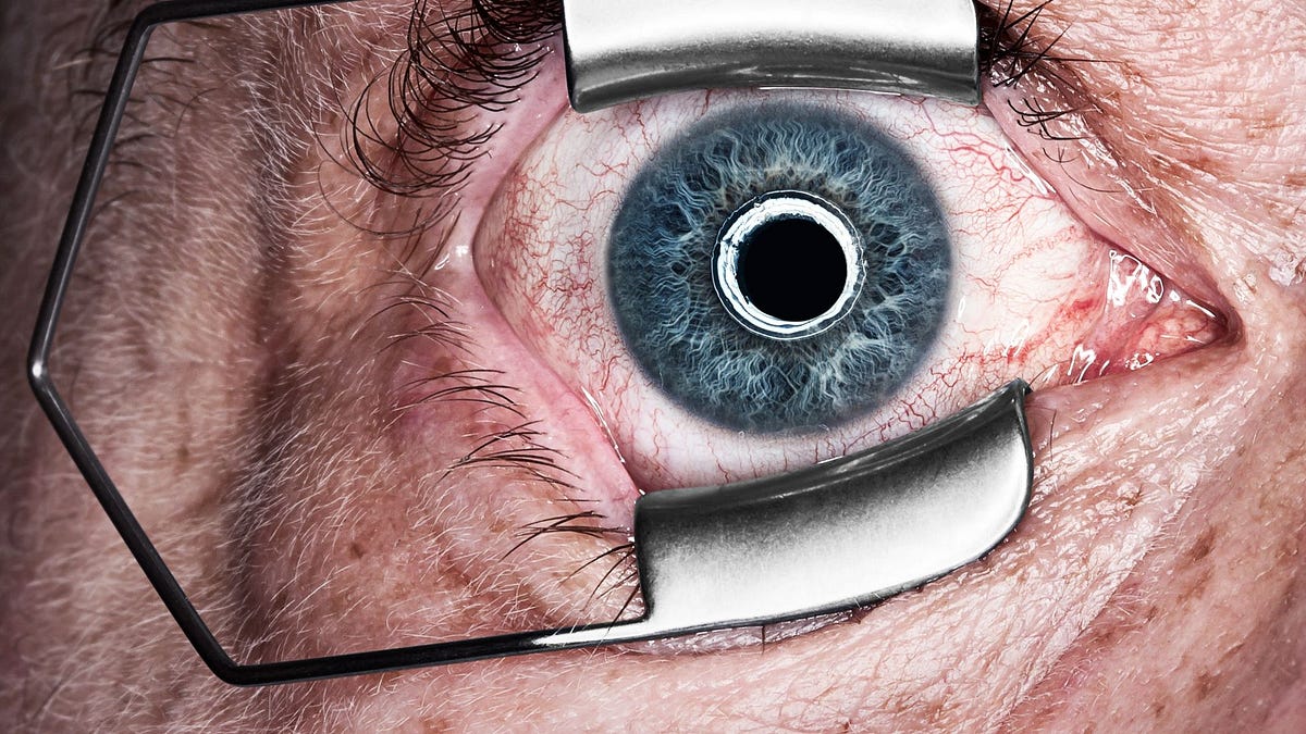 wisewolfmedia.substack.com