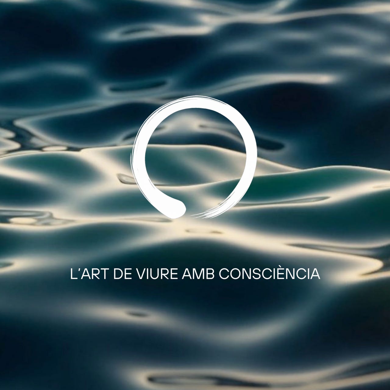   C A L M M      L’Art de viure amb consciència