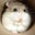 Syndicated Entropy's avatar