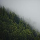 The search for win-win biodiversity-climate solutions
