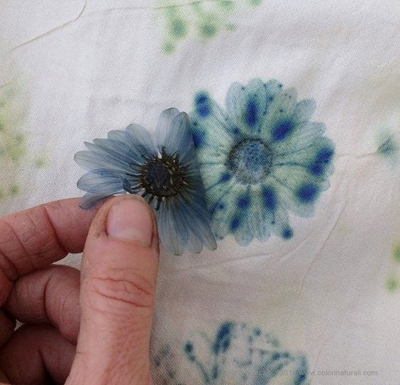 This may contain: a hand holding a flower on top of a white cloth with blue and green flowers