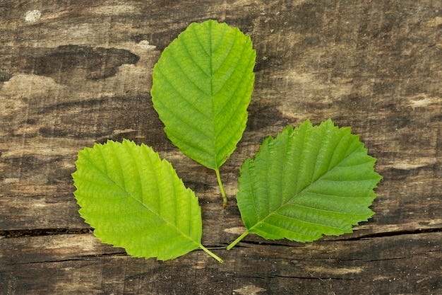 Slippery Elm Images - Free Download on Freepik