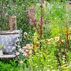 How to choose colours for your cottage garden