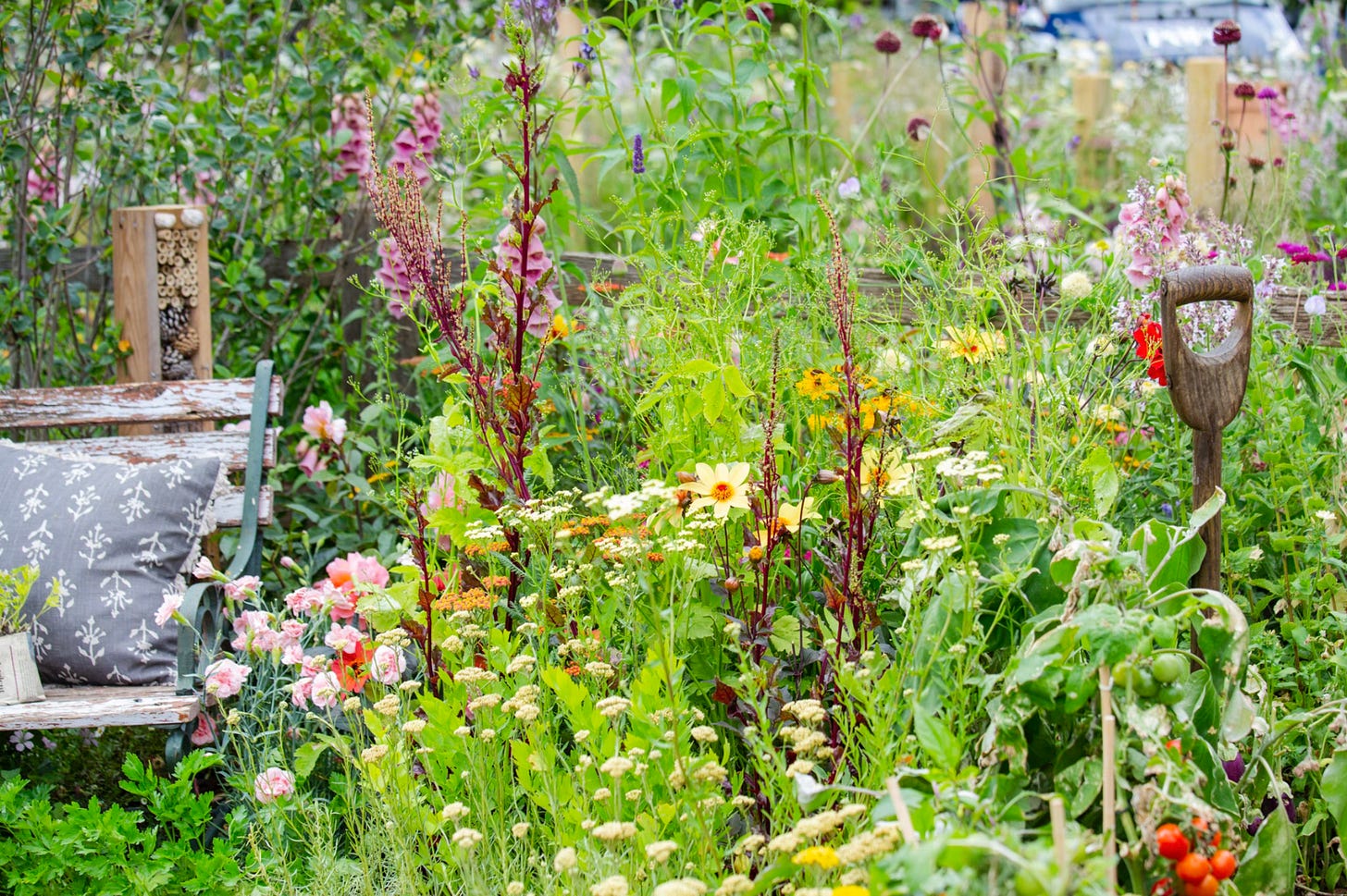 A pretty cottage garden with abundant gardening