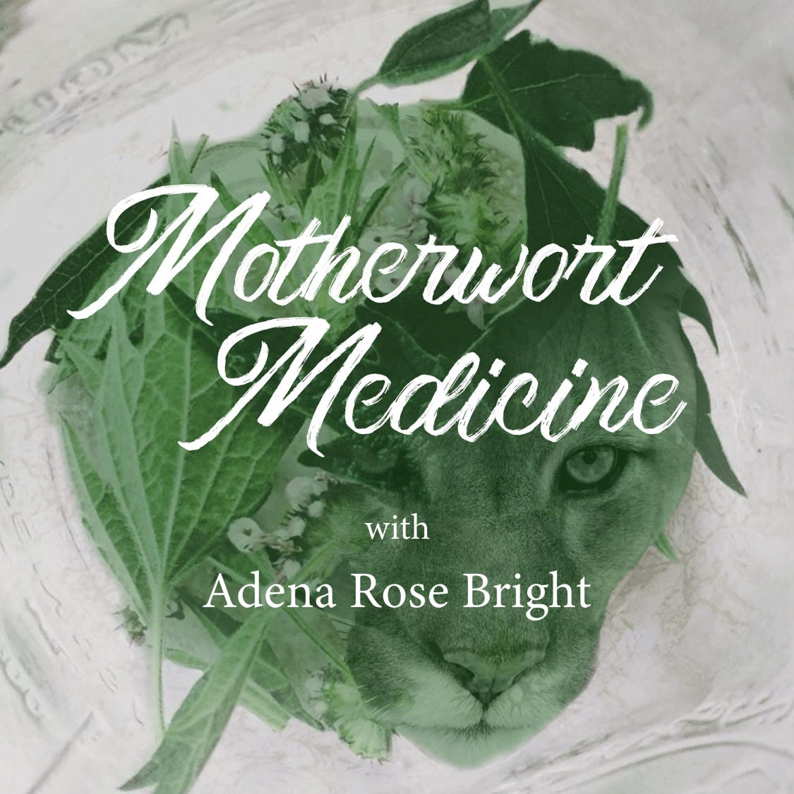 Motherwort Medicine
