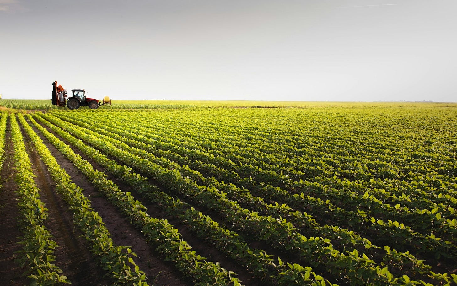 Tractor on a farm. Credit: Getty images