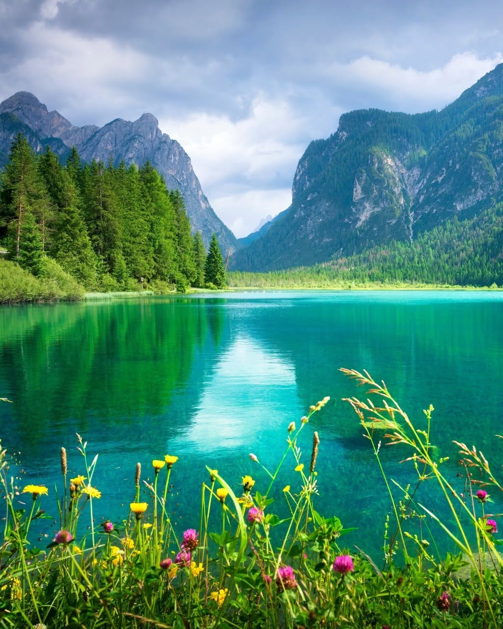 May be an image of lake, mountain and nature