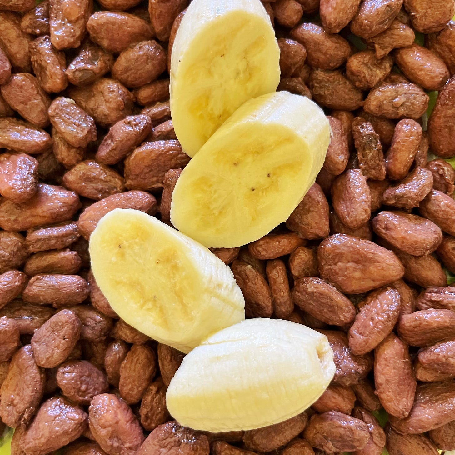 Fermenting cacao beans with sliced apple banana