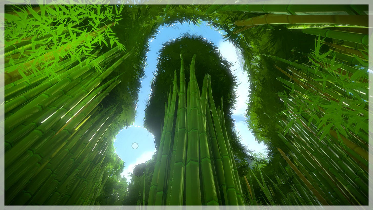 A screenshot from The Witness showcasing a puzzle shape created by the negative space in the forest when looking up