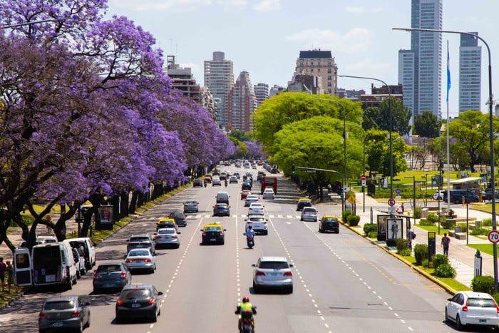 File:Avenida Figueroa Alcorta - floración de jacarandá.jpg - Wikimedia  Commons