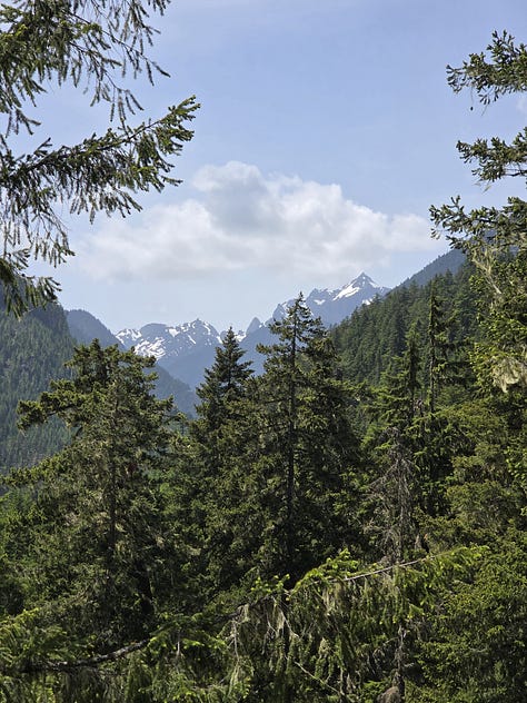 olympic mountain streams