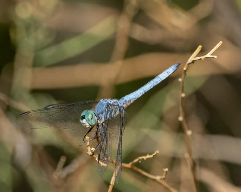 20250818-ElRio-325-Edit 2.jpg 20250818-ElRio-325-Edit 2.jpg