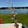 X avatar for @emma_ese67