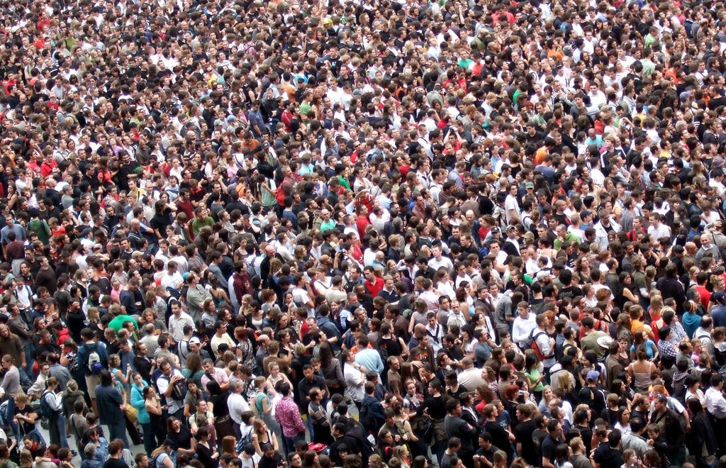 crowd decision-making brain