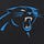 X avatar for @Panthers