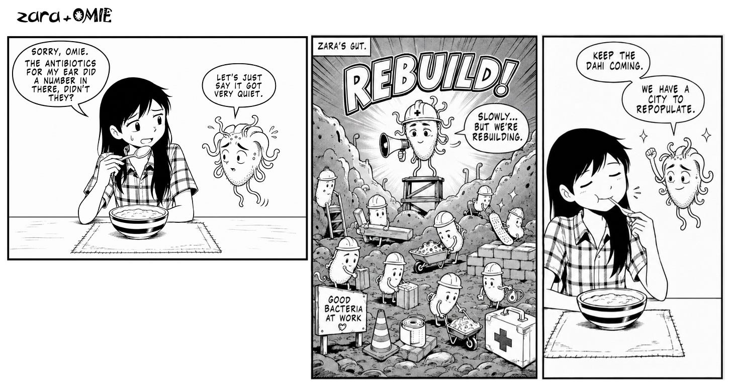 Tiny good bacteria rebuild Zara’s gut while Omie cheers them on.