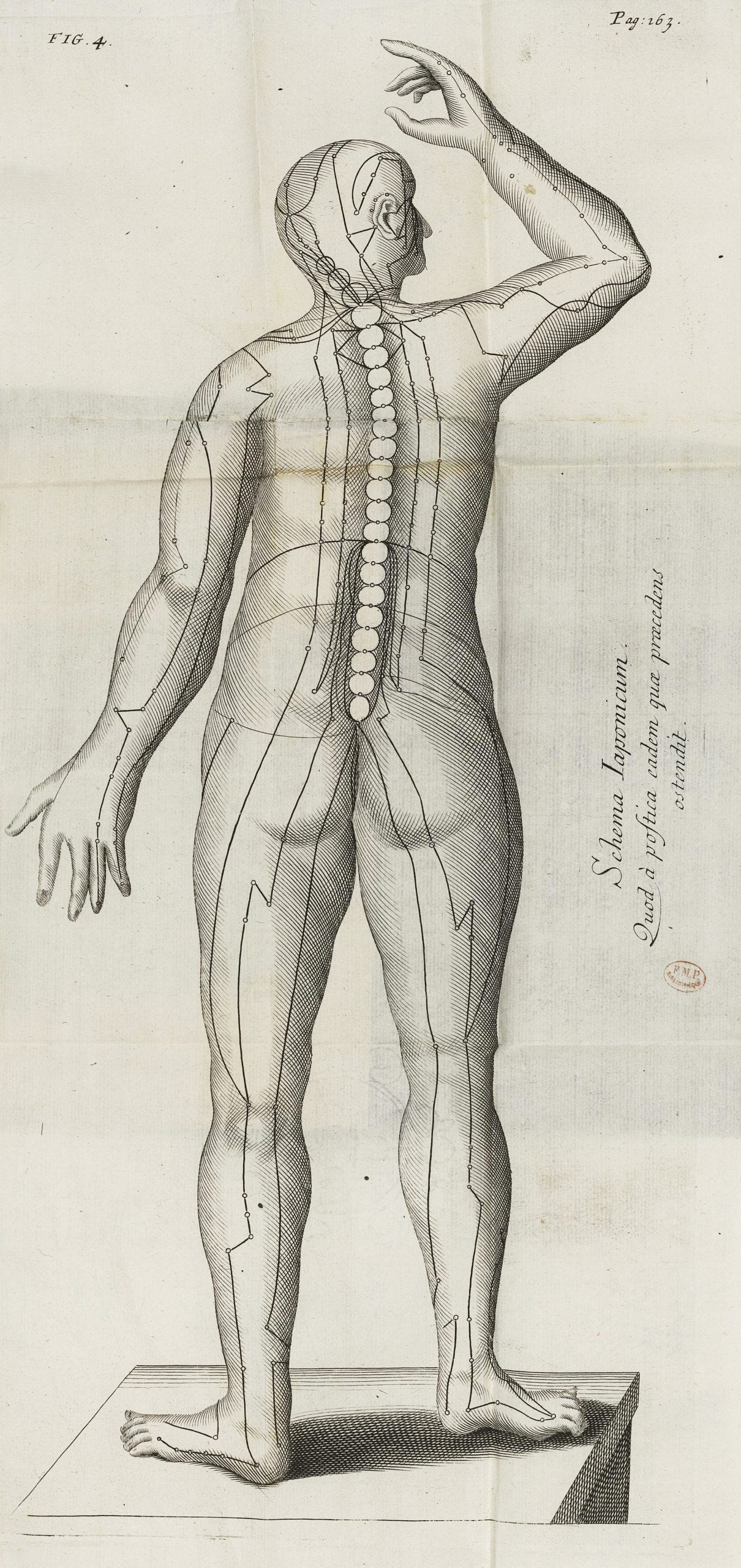 De Acupunctura — Copperplate engraving of acupuncture points from Willem ten Rhijne's De Acupunctura (1683), Bibliothèque interuniversitaire de santé / public domain worldwide, digital copy Etalab Open Licence (via The Public Domain Review) De Acupunctura — Copperplate engraving of acupuncture points from Willem ten Rhijne's De Acupunctura (1683), Bibliothèque interuniversitaire de santé / public domain worldwide, digital copy Etalab Open Licence (via The Public Domain Review)