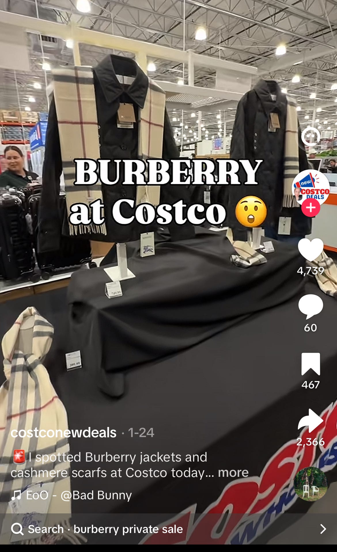 TikTok screenshot from creator @costconewdeals dated January 24, documenting Burberry trench coats and Burberry check cashmere scarves being sold at a US Costco Wholesale warehouse store. The image shows two Burberry trench coats displayed on freestanding mannequin forms positioned on a black cloth-covered Costco merchandise table, each styled with the iconic Burberry check cashmere scarf in the signature camel, black, white, and red color palette. A third folded Burberry check scarf is visible at the bottom left of the frame, and a Costco employee is partially visible in the background working among rolling racks of additional inventory under the warehouse's characteristic fluorescent lighting and exposed industrial ceiling. Bold white serif text overlay reads "BURBERRY at Costco" with a surprised face emoji. The video caption reads "I spotted Burberry jackets and cashmere scarfs at Costco today," and the post has accumulated 4,739 likes, 60 comments, 467 saves, and 2,366 shares, demonstrating significant US consumer attention to luxury British heritage merchandise being distributed through warehouse-club retail. The "burberry private sale" search query is visible at the bottom of the TikTok interface. Channel-check evidence relevant to Burberry $BRBY.L investors evaluating brand positioning discipline, distribution architecture, and inventory clearance dynamics under CEO Joshua Schulman, particularly in the context of the company's articulated heritage refocus narrative centered on outerwear and scarves as the brand's anchor luxury categories. The Costco distribution of trench coats and cashmere scarves directly involves the same hero categories the company cites as evidence of a successful turnaround, raising material questions about brand dilution, parallel-channel inventory management, and the gap between corporate communications and observable retail reality. Notable that on a recent Intern Pierre primary research call, a former member of the Office of the CEO with 2.5 years of tenure stated they had never heard of Burberry being sold at Costco, despite documented TikTok and Instagram evidence reaching tens of thousands of US consumers.