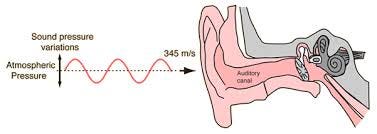 Sensitivity of Human Ear