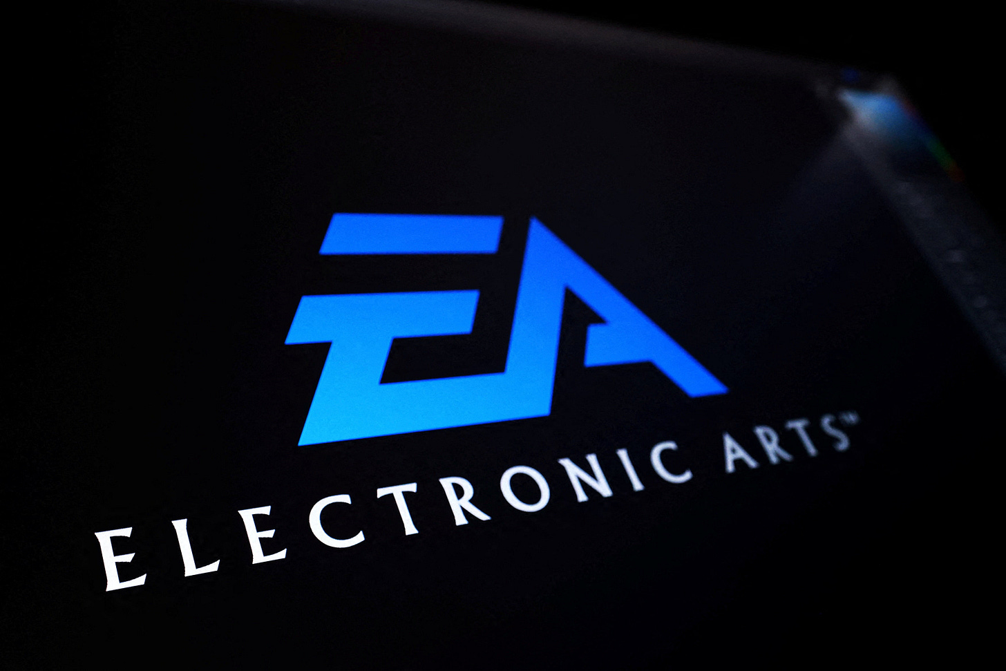 Videogame publisher EA's $55 billion buyout turns spotlight on gaming IP  diversification | Reuters