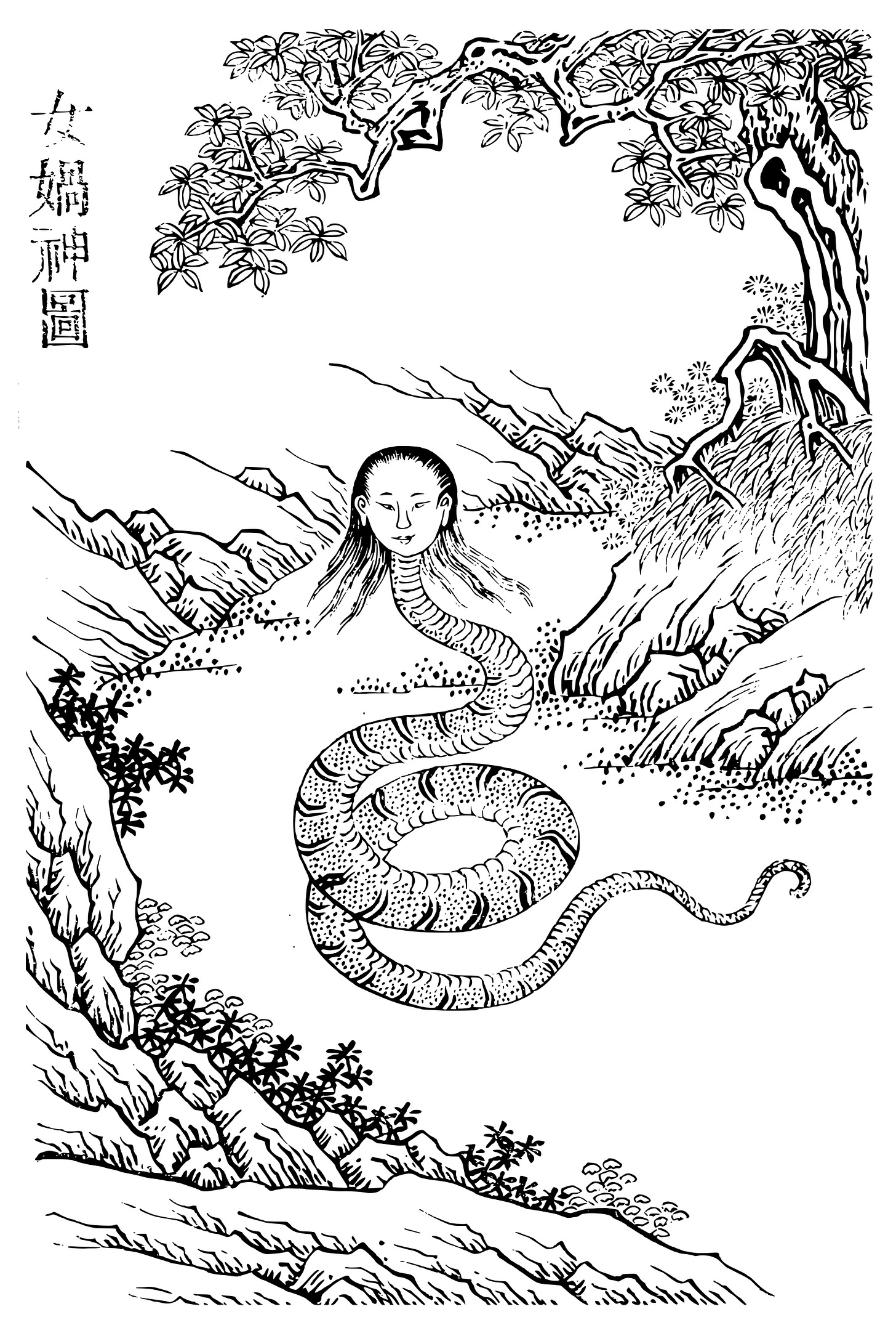 A picture of Nu Kua as her head is that of a normal woman, but her body is that of a snake. A picture of Nu Kua as her head is that of a normal woman, but her body is that of a snake.
