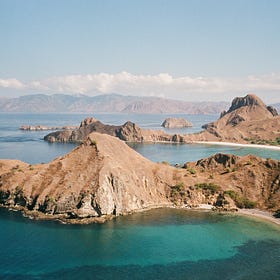 Flores On Film 