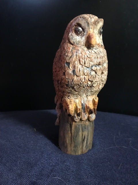 Owl by Janet Wolfinger 2012