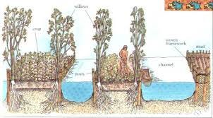 Chinampas technique permaculturelle - Association Mille et un Lieux