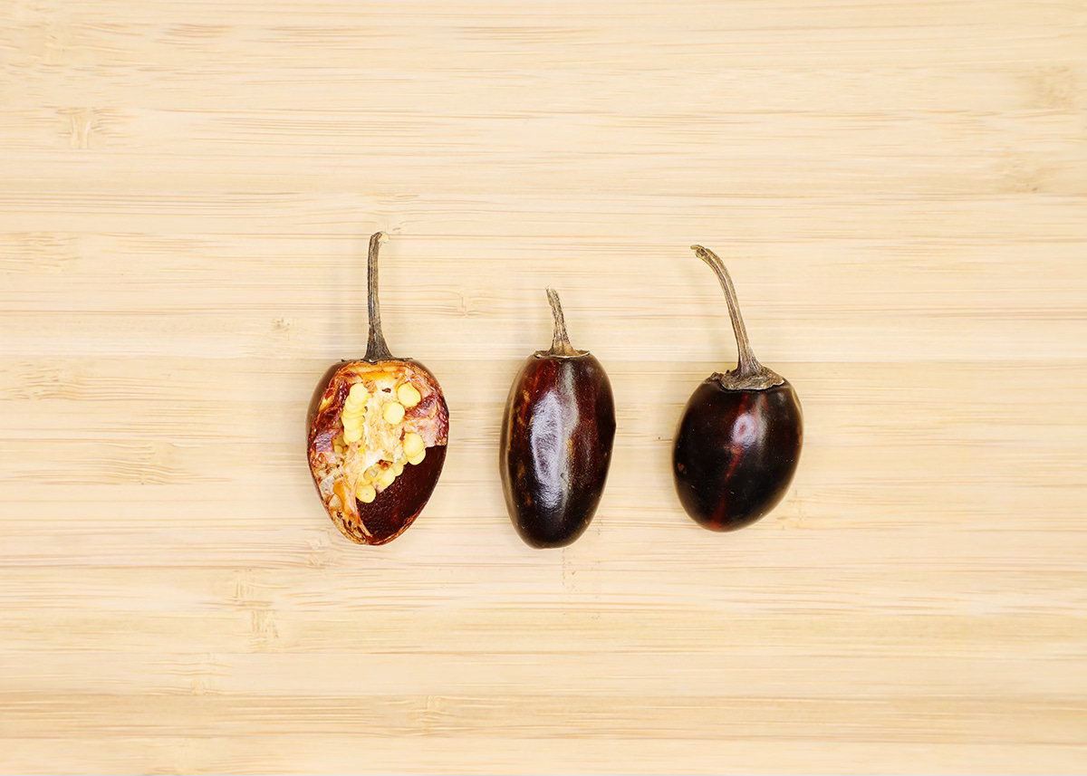 cascabel chiles on cutting board
