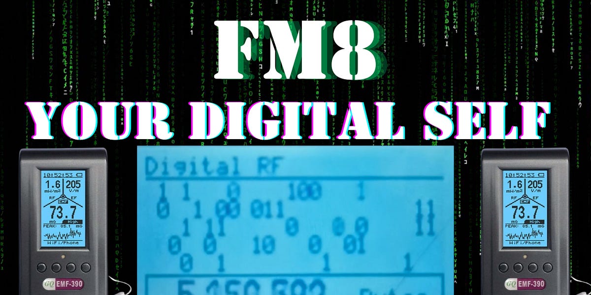 Missing Signal Digital UNEXPECTED DIGITAL SIGNAL DETECTED - FM8’s Substack
