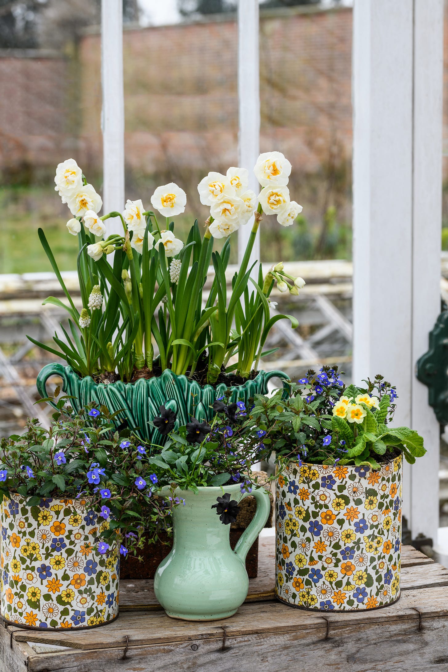 a selection of pretty containers with spring bulbs and flowers in a greenhouse